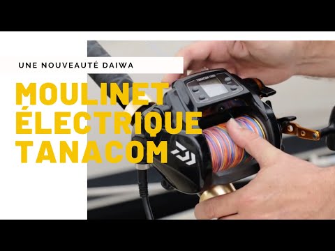 Daiwa | Moulinet