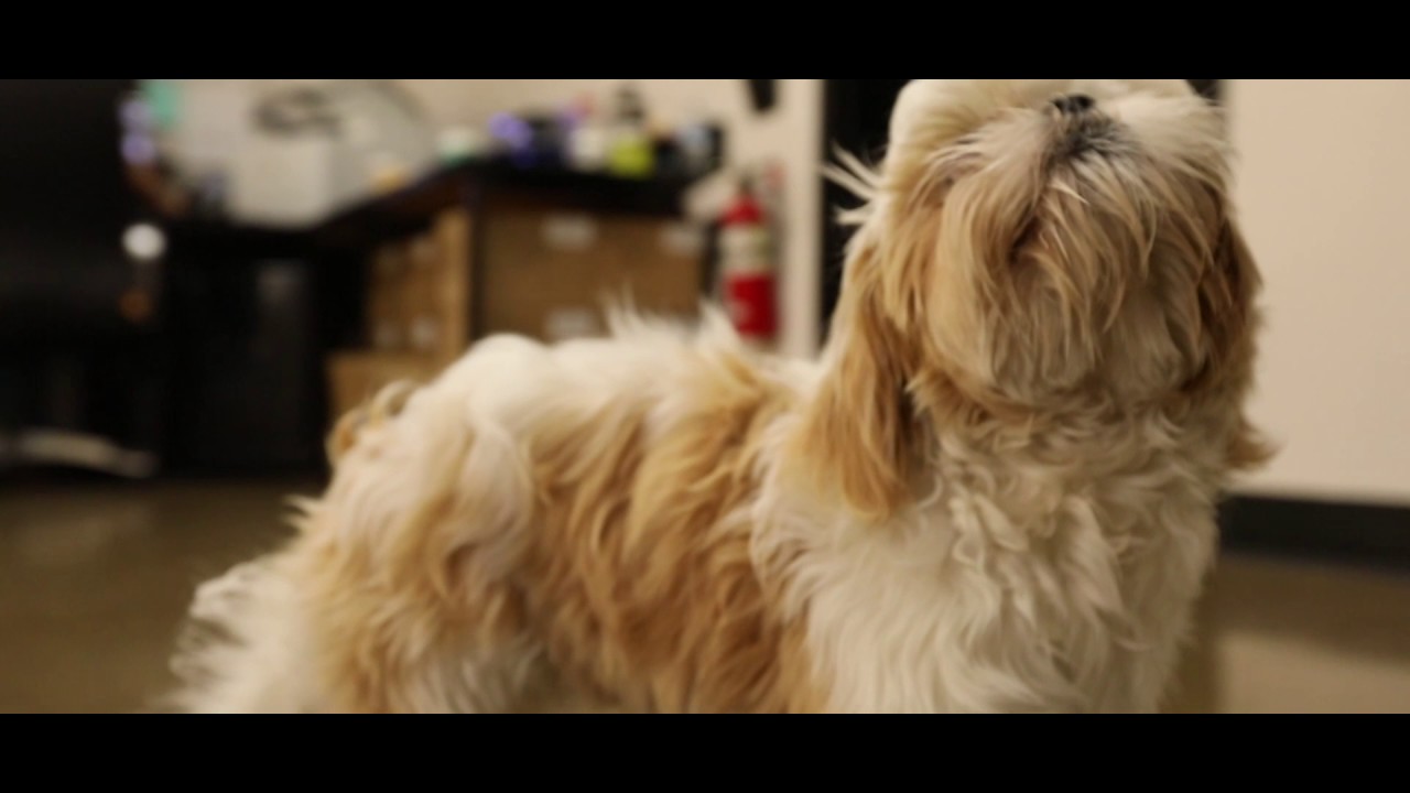 420 at TLC with the Jungle Boys