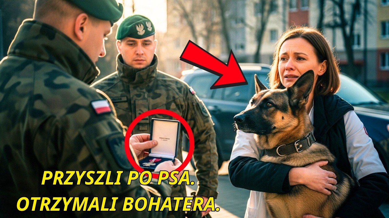 Pies ukrywał swoją przeszłość przez 12 lat — aż ktoś w końcu go rozpoznał