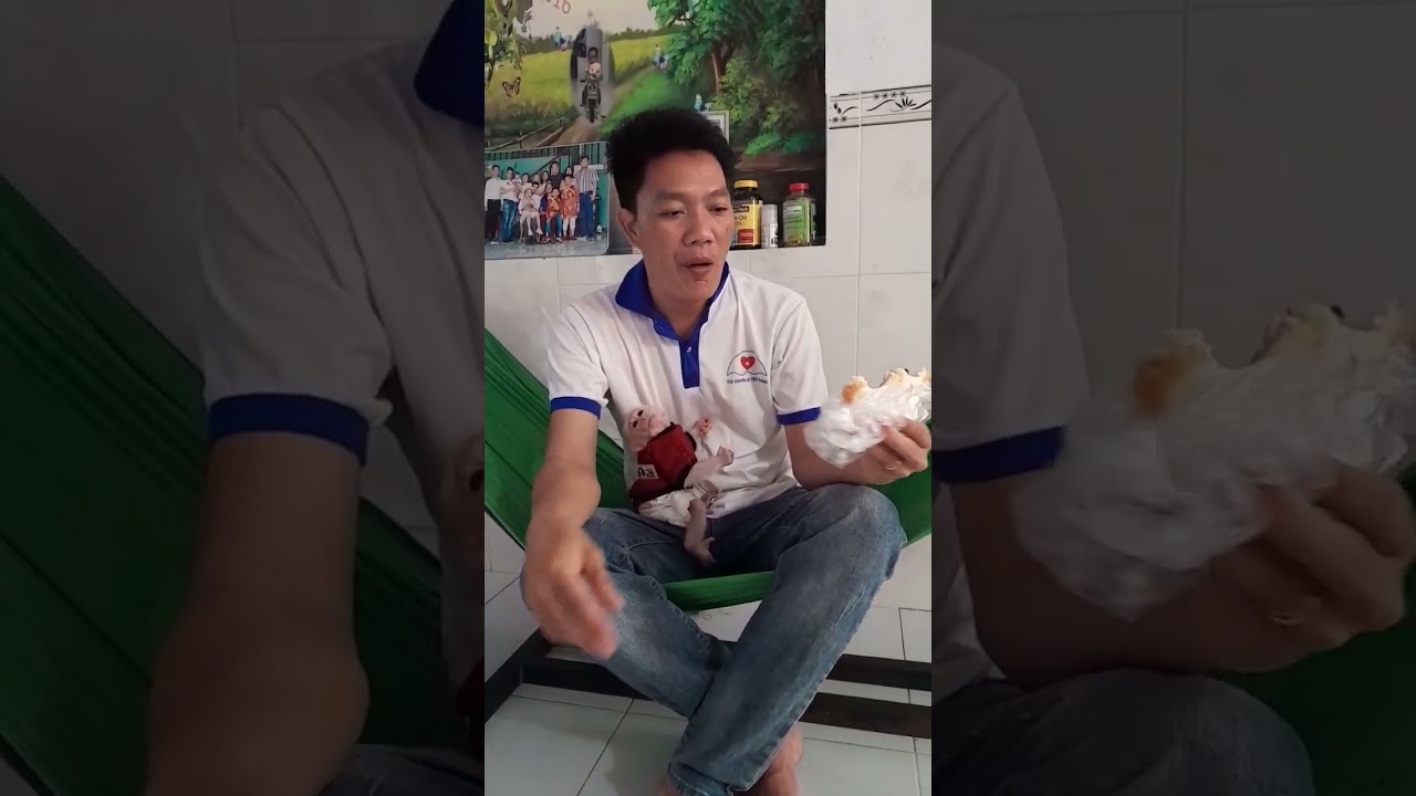 Cute baby monkey eat cake with father