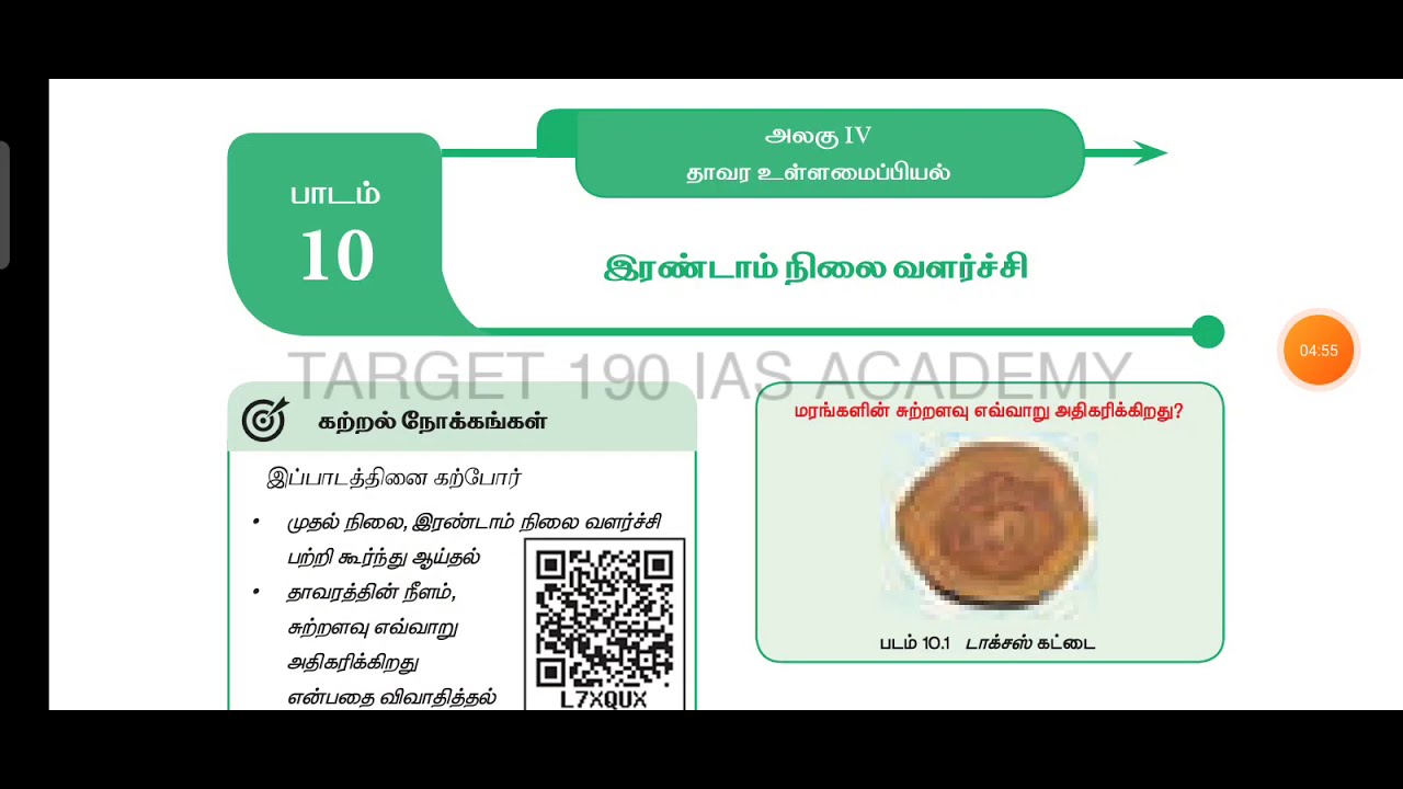 11th Std Botany Book | Book Back Question and answer | Volume 2 - YouTube
