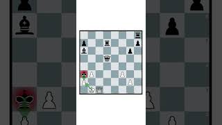 The Real Beginner's Guide to Chess #71