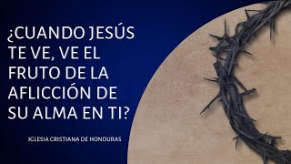 ¿Cuando Jesús te ve, ve el fruto de la aflicción de su alma en ti?