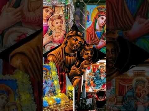 ልደታማርያም ማርያም ድንግልማርያም 