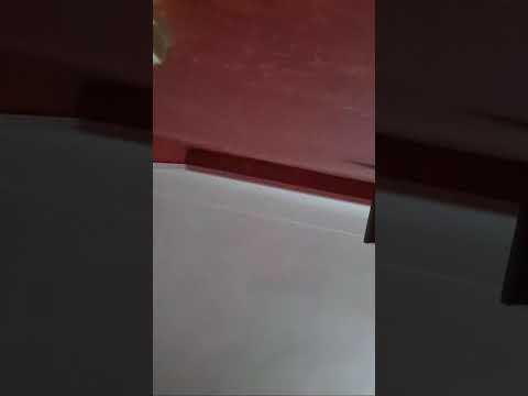 انت ما بينك وبين الحب دنيا جنى اغاني بصوتى اغاني ام كلثوم Explore Love اكسبلور