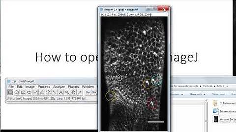 FIJI tutorials: 1) How to open a file in ImageJ