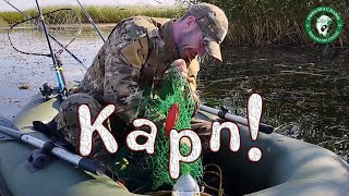видео: ДУБАСИМ КАРПА В КАМЫШАХ, СМЕНА ЛИДЕРА! ЛОВИМ С ЛОДКИ КАРПА, САЗАНА, ЩУКУ, ЛИНЯ РЫБАЛКА В КАЗАХСТАНЕ! картинка: ДУБАСИМ КАРПА В КАМЫШАХ, СМЕНА ЛИДЕРА! ЛОВИМ С ЛОДКИ КАРПА, САЗАНА, ЩУКУ, ЛИНЯ РЫБАЛКА В КАЗАХСТАНЕ!