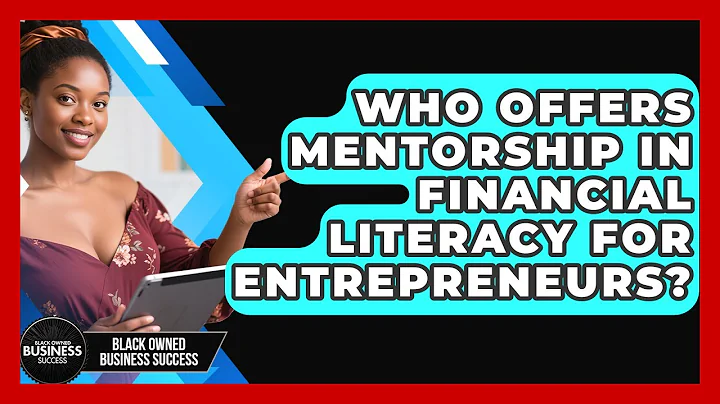 Who Offers Mentorship in Financial Literacy for Entrepreneurs? | Black Owned Business Success News