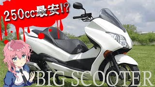 250cc最安 ビッグスクーターの繁栄と衰退 Youtube 250cc最安 ビッグスクーターの繁栄と衰退 Youtube