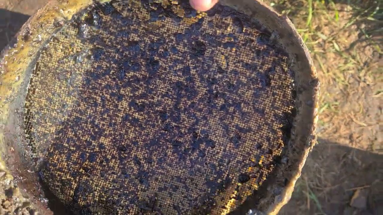 strecurarea ceri de albine dupa ce sau topit calupurile de ceara