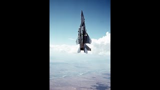 DCS F-15 Vertical Acceleration
