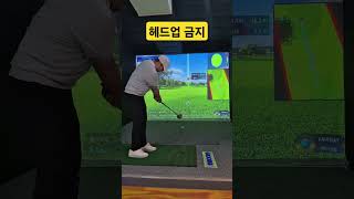 파크골프 헤드업 금지!  #샷이글 #스트로크 #스크린파크골프