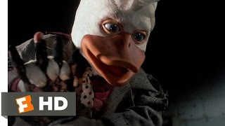 Howard The Duck in the MCU, Please - as of the end of 'Avengers: Endgame',  Howie is trapped in a world he never made!!! He needs a job (P.I.?  Quack-Fu fighter in 