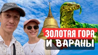 Огромные вараны в парке Бангкока и Храм на золотой горе