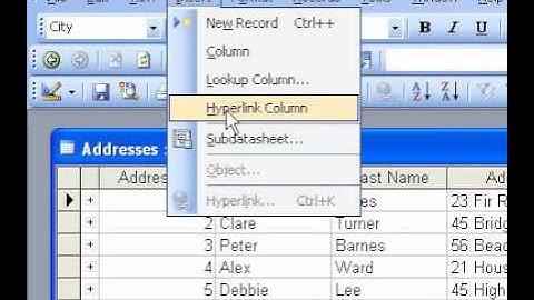 Microsoft Office Access 2003 Insert a hyperlink column