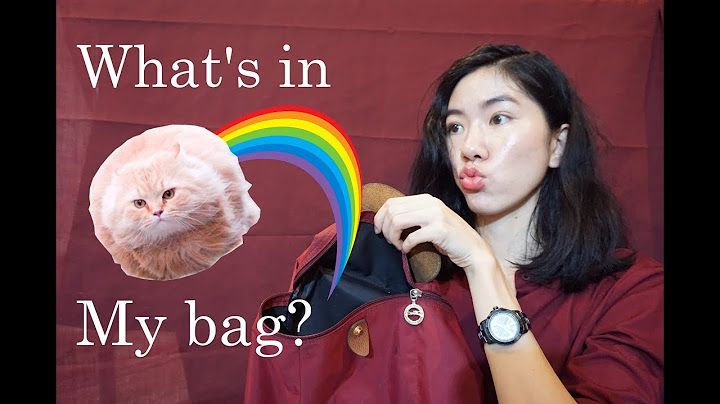 พกอะไรในกระเป๋า ?