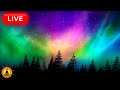 🔴 Deep Sleep Music 24/7, Calming Music, Sleep Meditation, Insomnia, Relaxing Music, Study, Sleep