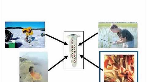 BIS2C FALL2012 Lecture 13 version 2