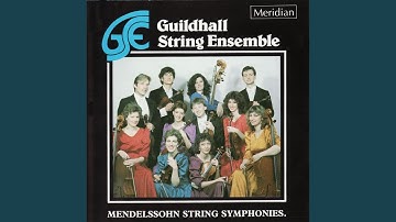 String Symphony No.4 in C Minor, MWV N 4: I. Grave - Allegro