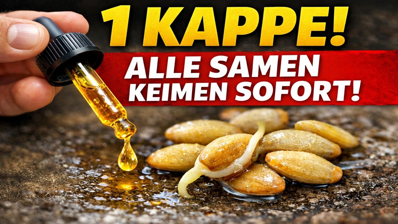 Schluss mit Peroxid! Diese Gärtner-Methode belebt JEDEN Samen in 1 Stunde (Bernsteinladung)