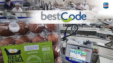 BestCode Coding and Marking Solutions— Egg Packaging