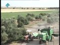 ضیاالله متعارفی سمنا ن   