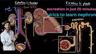Human Excretion with simple trick part 8 life process