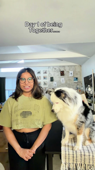 Try panom pa #tamilshorts #funnyvideo #comedyvideo #comedyshorts #comedy #tamilcomedy #dogvideo #fun