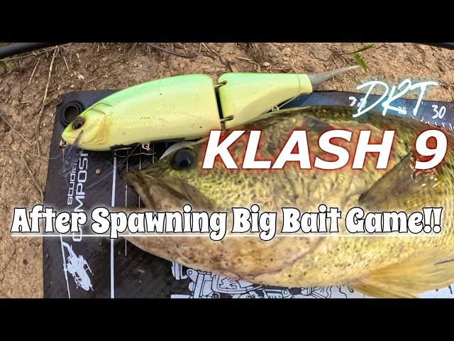 KLASH9】野池のアフター バス釣り ビッグベイトゲーム‼︎【DRT