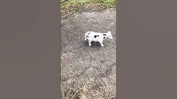 Two remote control Camel 🐪 and Deer 🦌 Unboxing#shorts #toys #animals #deer #unboxing 59