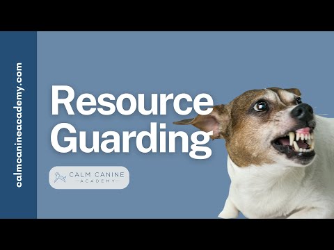 Resource Guarding In Dogs