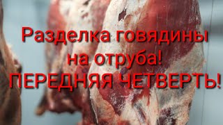 ОБВАЛКА ГОВЯДИНЫ! расчленовка ПЕРЕДНЕЙ ЧЕТВЕРТИ!1