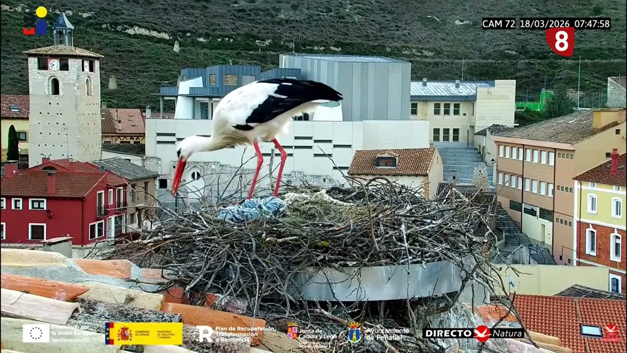 El Tiempo La8Valladolid 18 de Marzo de 2026