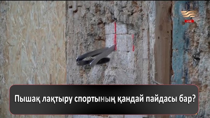 Жетілген әйелдердің жалаңаш бейнелері Қара нәсілді әйелдердің порнофотосуреттері тағы да жарқ етті