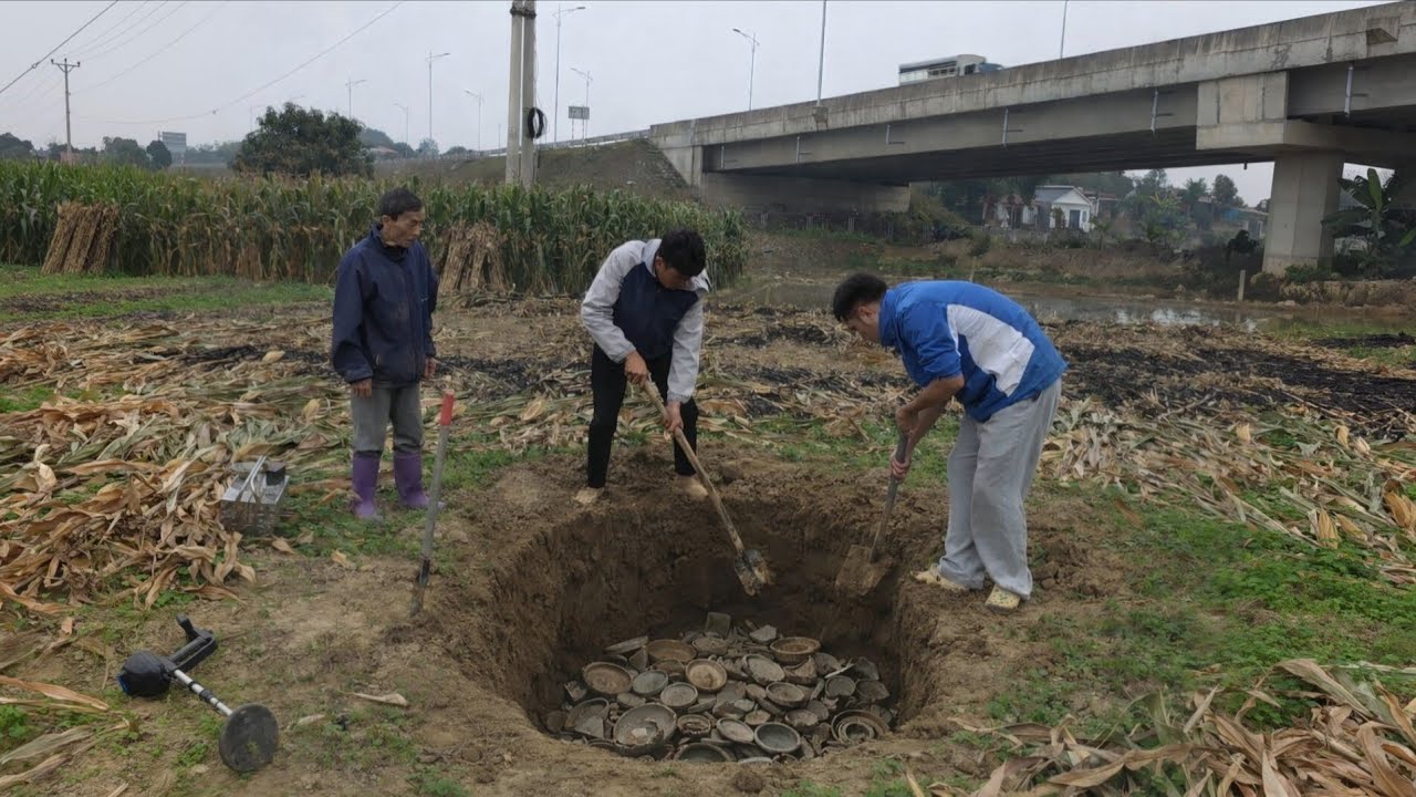 Ông Lão Hoảng Hốt Khi Nhờ Lưu Hậu Phát Hiện Ra  Ruộng Nhà Mình Cách Đây Mấy Trăm Năm Đã Có Người Ở