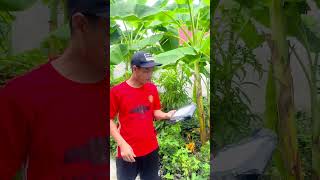 Đặt cáp quang và cái kết #funny #shorts #dieu #kite #kiteflying #diy
