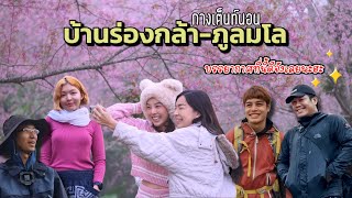 กางเต็นท์นอน ภูลมโล-บ้านร่องกล้า ตามหาพญาเสือโคร่ง