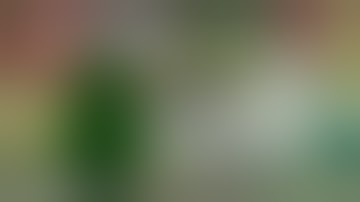 Mlg max and ruby reaction