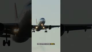 Flight Path to Prevention: Uncovering Superbugs in Airplane Waste
