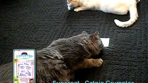 SuperCat Promotional Spot