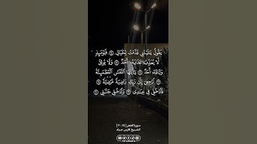 من سورة الفجر … الشيخ فارس عباد | #الله #allah #القرآن_الكريم #foryou #القران_الكريم #اكسبلور #fyp
