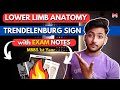 Lower Limb Anatomy- Trendelenburg Sign | MBBS 1st Year | Full Explanation with Notes | MBBS World