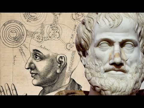 علم النفس عند أرسطو الطبيعة الثانيه حرية الإراده مفهوم الروح علم الجمال النفسي