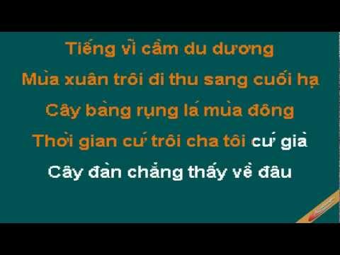 Cay Vi Cam Karaoke - Thùy Chi - CaoCuongPro