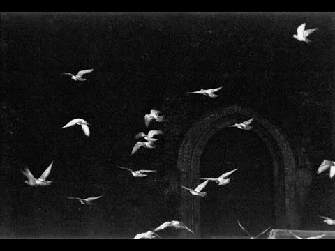 Ангелы на высоте, где пение птиц - Я на земле курю среди убийц.