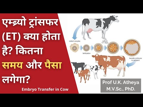 वीडियो: एम्ब्रोलमेंट कैसे करें?