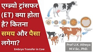 एम्ब्र्यो ट्रांसफर (ET) क्या होता है? कितना समय और पैसा लगेगा? | Embryo Transfer Technology in Cow