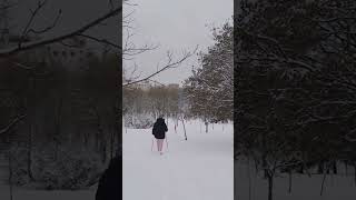 Beautiful Natural 4K Video