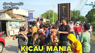 Download lagu VIRAL‼️KICAU MANIA‼️- VOC: SOFIA || SINGA DEPOK PUTRA SURTI MUDA || PEGAGAN BLOK BUNTU - LOSARANG