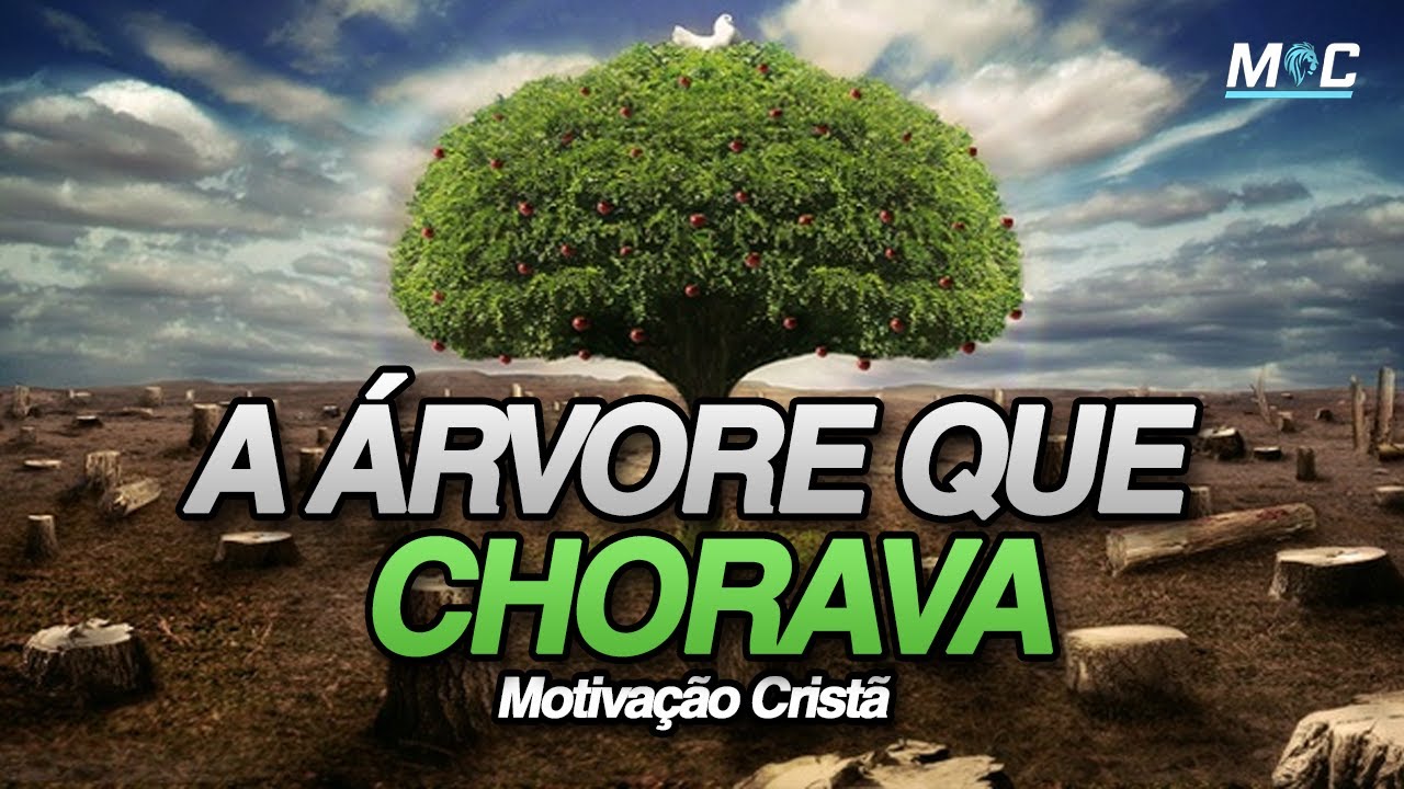 NINGUÉM ATIRA PEDRAS EM ÁRVORE QUE NÃO DÁ FRUTOS (Motivação Cristã ...